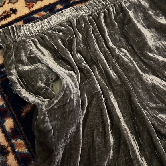 NWT Double D Ranch Velvet Pants in Silvered Sleigh - Picture 7 of 11